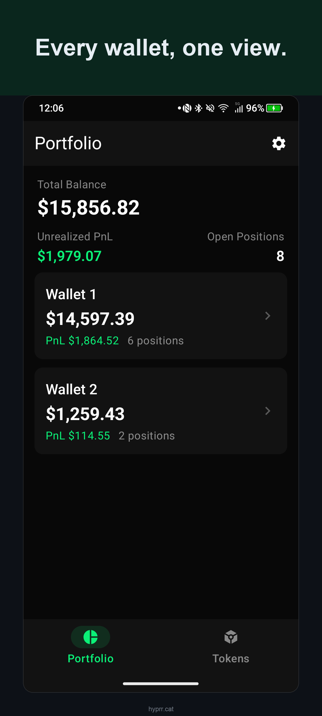 Multi-wallet portfolio overview